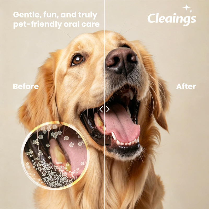 Pet Finger Toothbrush with Flavor Burst Beads, 360° Silicone Toothbrush Kit for Dogs & Cats, Deep Teeth Cleaning - 6 Pcs Mix Flavor