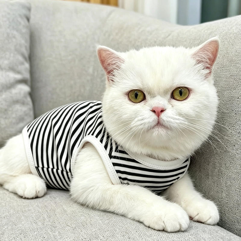 Cat Professional Recovery Suit with Cooling Fabric, Breathable & Cool Body Suits for Abdominal Wounds or Skin Diseases，E-Collar Alternative for Cats, Onesie Cat Clothes After Surgery Striped-Black S