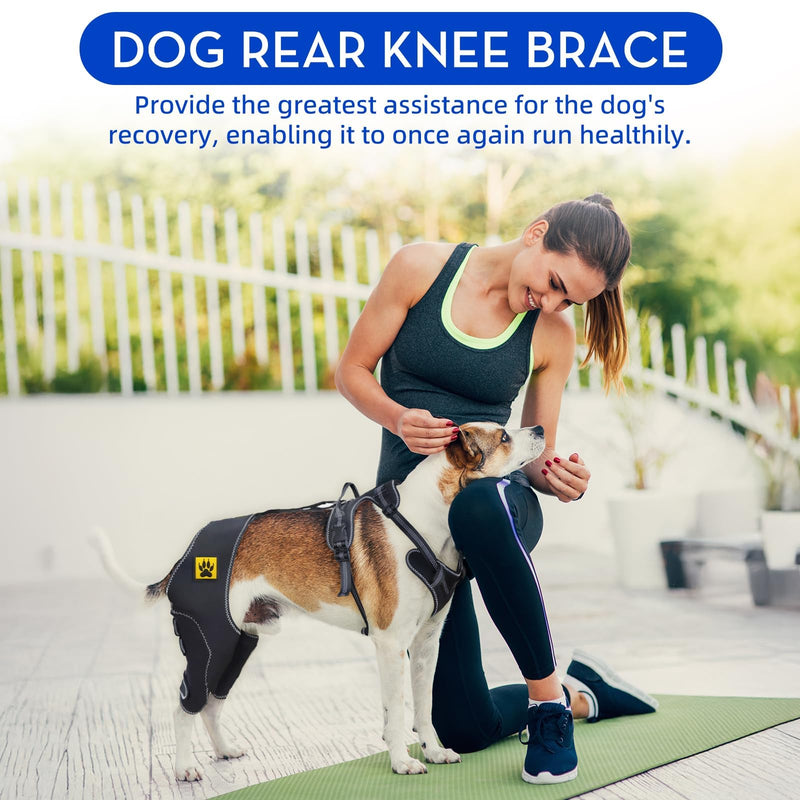 Dog Knee Brace for Cruciate ligament, Dog back Hind Leg Support Protector for Torn ACL Injuries，Recovery Aid, Warm Joint & Relief Pain, Premium Diving Cloth (Black, L) Black