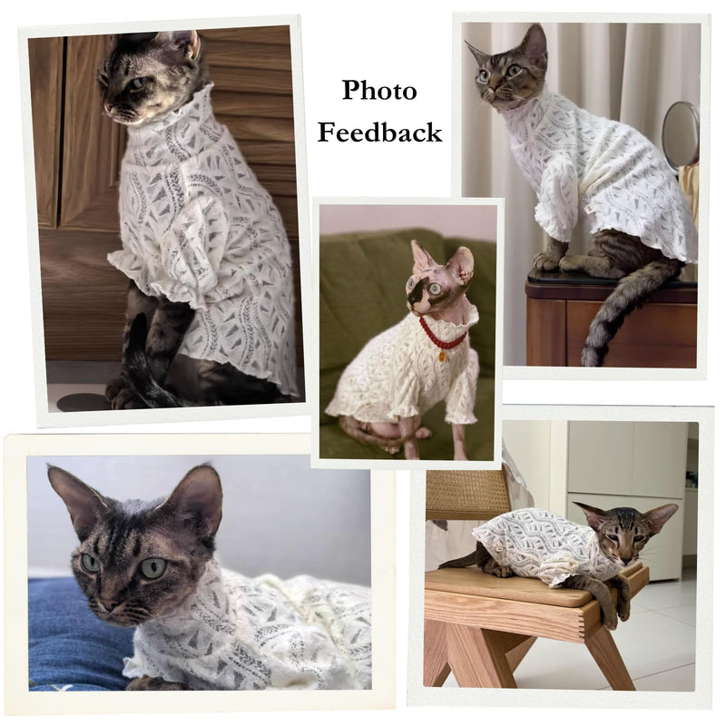 Cat Soft Lace Turtleneck Shirt, Elegant Skin-Friendly Warm Sweater Pullover Clothes for Hairless Sphynx, Devon & All Indoor Kittens (M) White M - PawsPlanet Australia