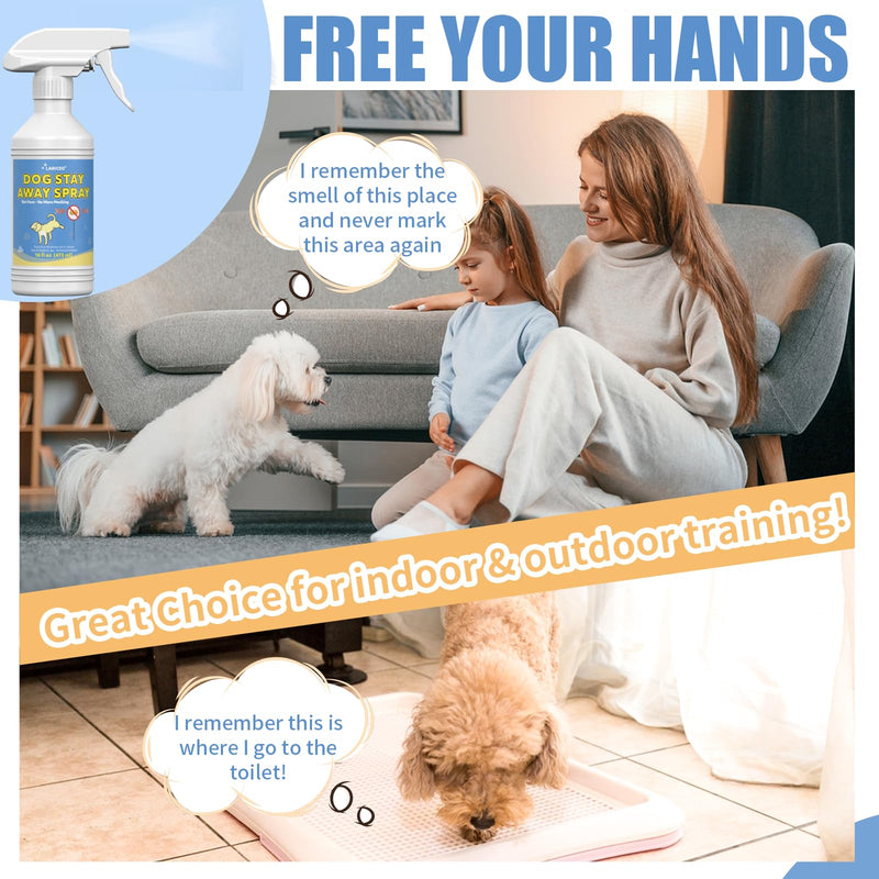 16 Oz Training Aid Spray for Dogs | Effective Training Spray for Dogs to Stop Unwanted Marking and Messy Urination 16.0 Fl Oz - PawsPlanet Australia