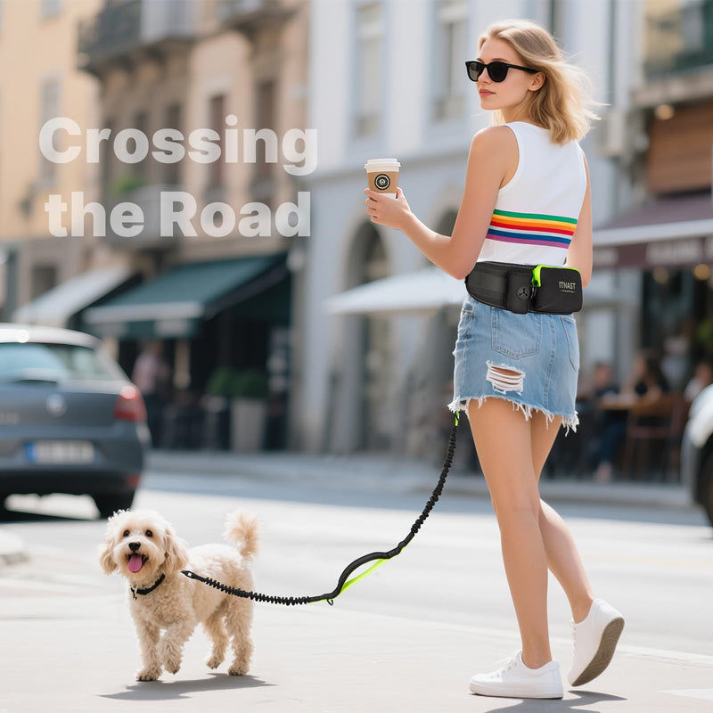 Hands Free Dog Leash for Medium Large Dogs, Waist Support Padded Bungee Dog Running Leash with Reflective Stitching for Walks, Jogging, Running, Hiking, and Dog Training for One Dog Black/Green - PawsPlanet Australia