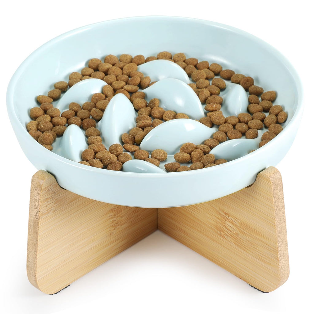 Slow Feeder Cat Bowl with Stand, Ceramic Slow Eating Cat Bowl with Higher Edges Fish Pool Design Elevated Cat Food Bowl for Dry and Wet Food Anti-Vomiting Cat Puzzle Feeder for Healthy Eating Diet Green