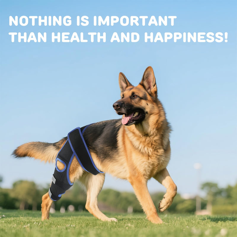 RUXAN Dog Knee Brace for Torn Acl, Dog Leg Braces for Back Leg, Knee Brace for Arthritis Pain and Support, Dogs Rear Leg Wrap Harness Set for Leg Wound Care and Lick Prevention-XL