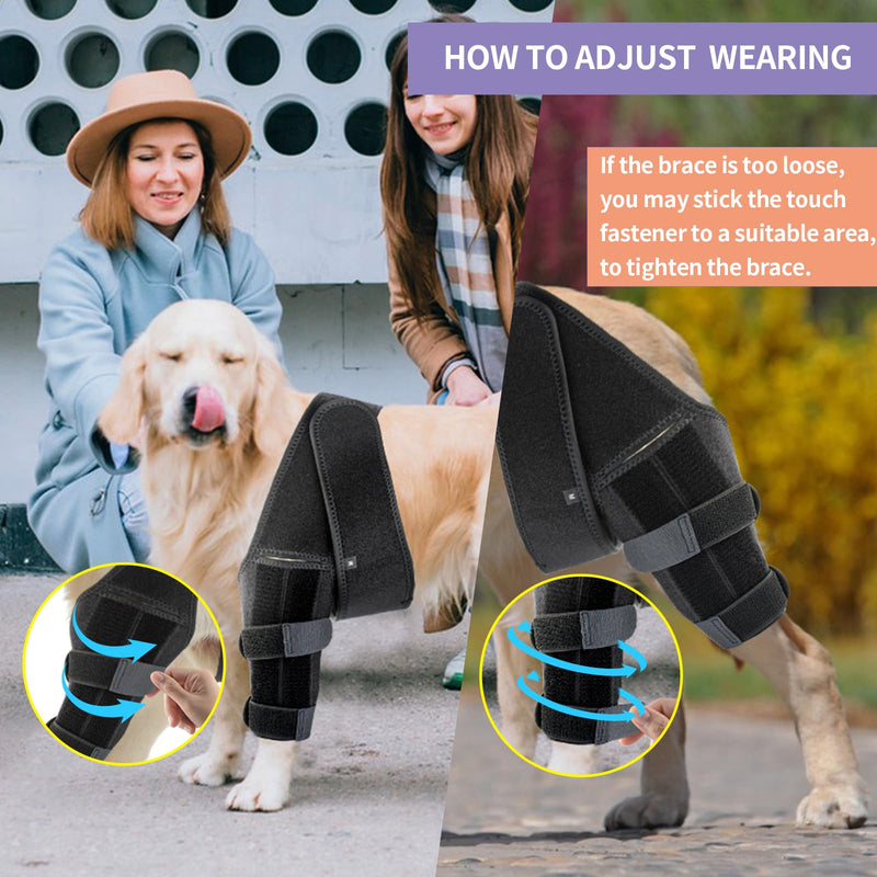 Dog Knee Brace, Acl Knee Brace for Dogs Hind Leg with Cruciate Ligament Injury,Joint Pain and Muscle Sore,Adjustable Dog Rear Leg Brace Support for Patella Dislocation,Pet Knee Brace (Medium) Medium - PawsPlanet Australia