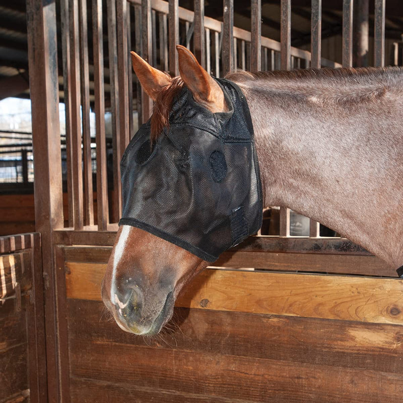 Classic Equine MagNTX Mask - PawsPlanet Australia