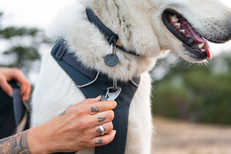 RUFFWEAR Front Range Collar, Large Dog Collar with Aluminium V-Ring, Adjustable Length Pet Dog Collar, Comfortable Soft Fabric, Animal Collar with Dog Lead Attachment Ring, 51-66cm, Basalt Grey L
