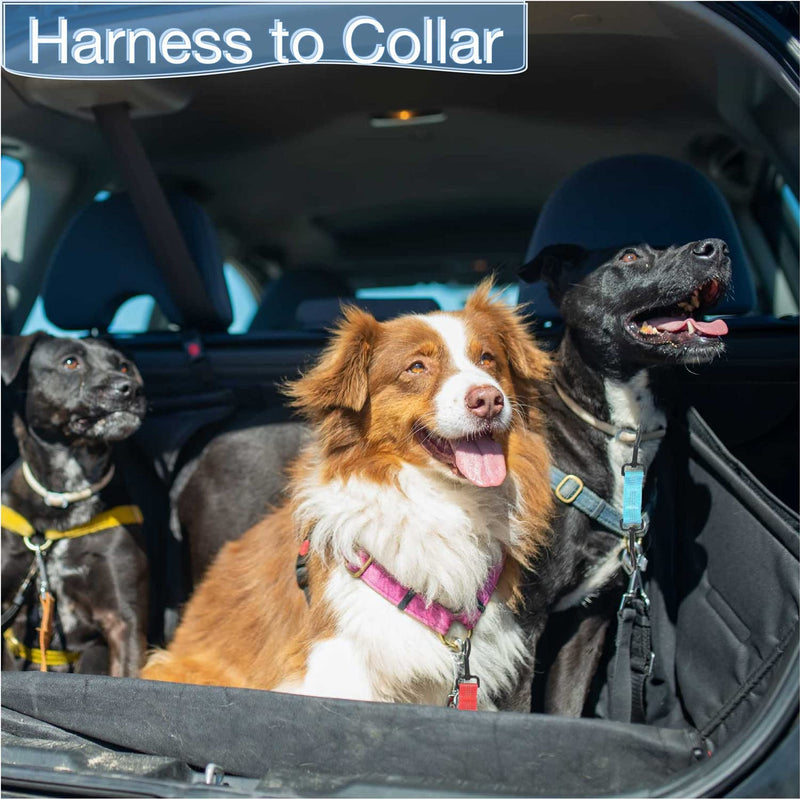 Dog Collar Clip Dog Safety Leash Clip for Prong Collar Backup Dog Harness to Collar Safety Clip 5 pcs Reflective Dog Leash Connector Double Ended Backup Clasp - PawsPlanet Australia