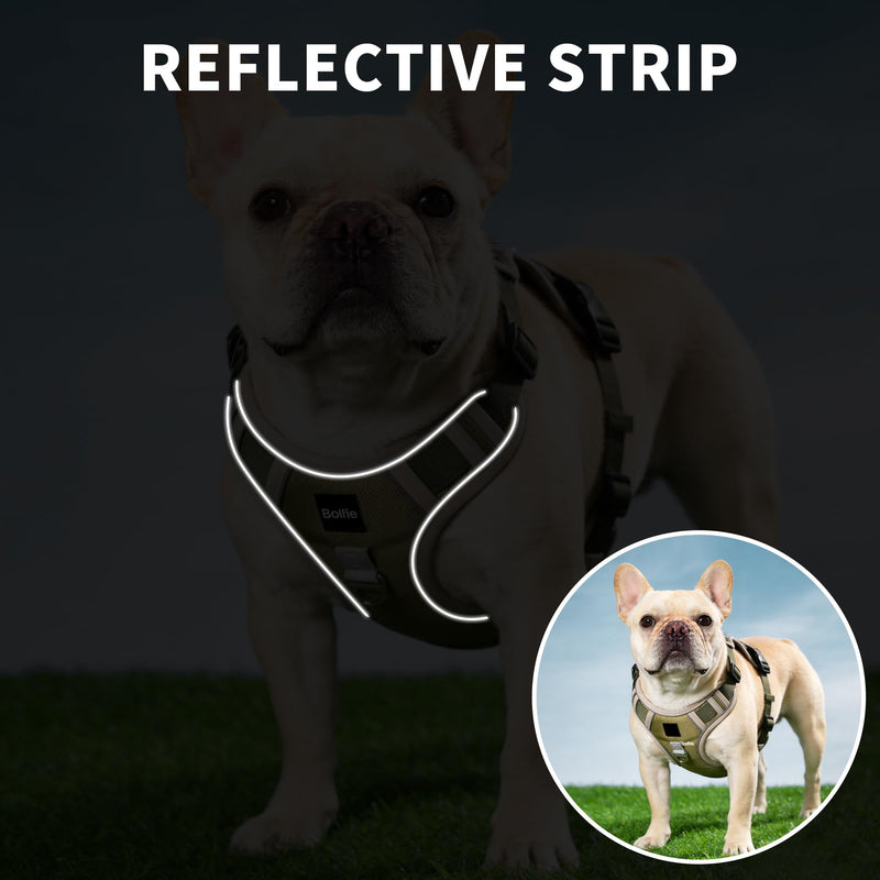 Small Dog Harness, Heavy Duty Tactical No-Pull Reflective Harness & Collar Set — Secure, No Choke, Easy On and Off Pet Vest, Adjustable Dog Vest with Breathable Padded for Walking Hiking Training Small - PawsPlanet Australia