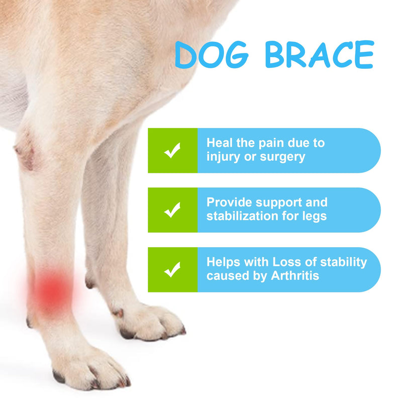 Dog Canine Front Leg Brace Paw Compression Sleeve Joint Wraps - Protects Wounds Stop Licking & Prevents Injuries, Sprains Helps with Loss of Stability from Arthritis - Medium - PawsPlanet Australia