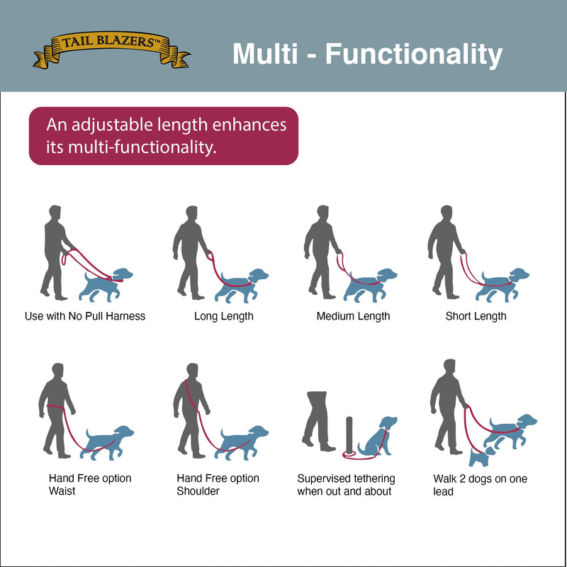 Retractable Dog Lead – Extendable Slip Lead for Small, Medium & Large Dogs, Hands-Free Anti Pull Leash with all harness Compatibility 1.5 to 2.5M Red.Grey One Size - PawsPlanet Australia