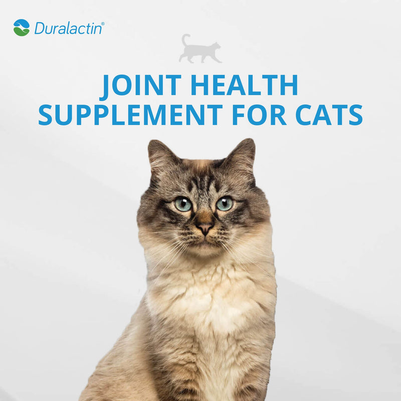 PRN Pharmacal Duralactin Feline - Joint Health Supplement for Cats & Kittens Supports Chronic Soreness, Joint Health & Overall Wellness - Gelatin Capsules Containing Dried Milk Protein - 60 Capsules - PawsPlanet Australia