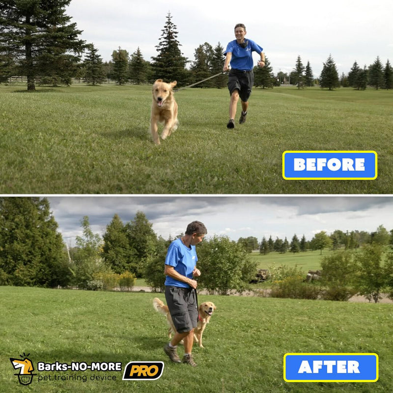 Pro Dog Bark Deterrent and Training Device - Stop Barking Without Hurting Your Pet - Rechargeable Ultrasonic Dog Bark Trainer - Just Point and Press, Black