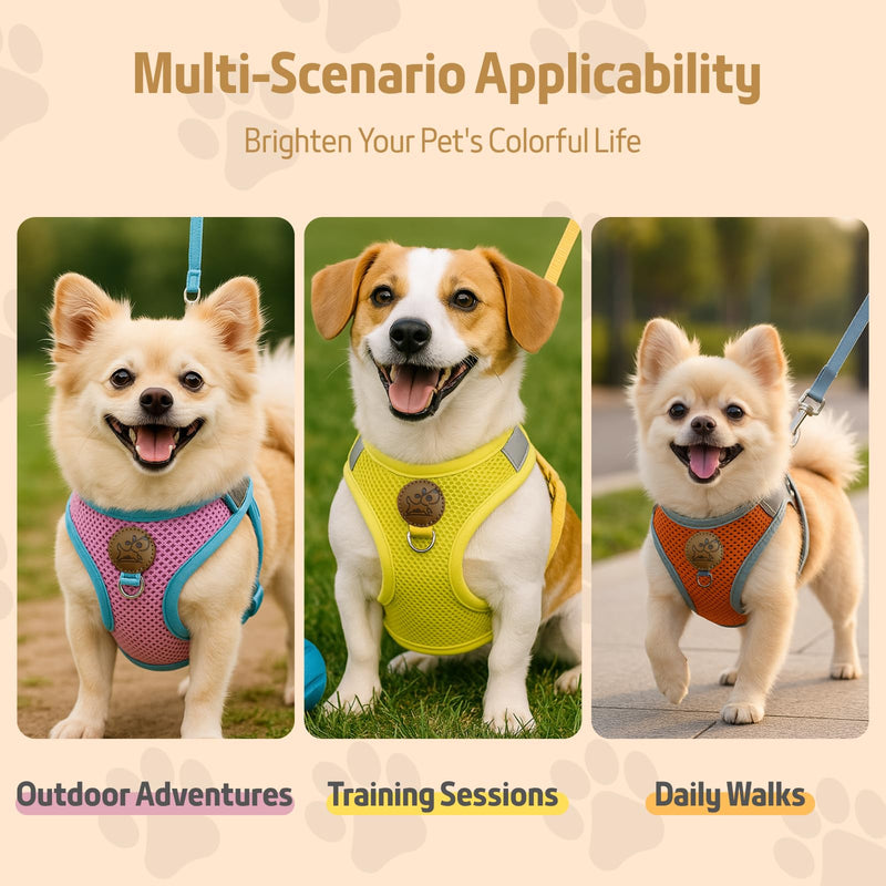 Small Dog Harness and Leash Set, Adjustable Step-in Dog Harness with Back Clip, Reflective Escape Proof Easy Walk Dog Harness for Small Sized Dog, Puppy, Cats (OrangeGrey M) Orange+Grey - PawsPlanet Australia