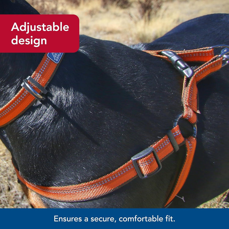 Coastal Pet K9 Explorer Reflective Adjustable Padded Dog Harness - Plush Chest Pad for Comfort - No-Pull Dog Harness for Small and Large Dogs - Orchid - 1" x 20"-30", Medium - PawsPlanet Australia