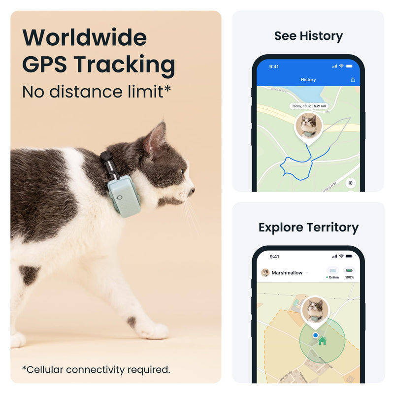 Tractive Smart Cat Tracker Mini | #1 Cat GPS | Real-Time Location Tracking | Territory & Location History | Safety Collar included (Mint) Cat tracker (Mint) - PawsPlanet Australia