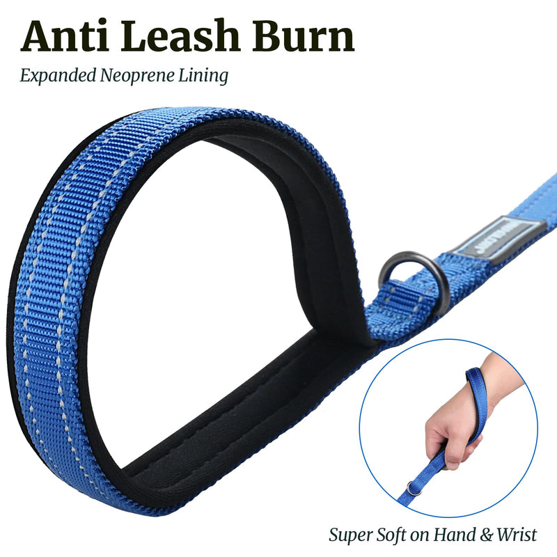 VIVAGLORY Dailyx Dog Leash, Puppy Leash for Training & Walking with Soft Padded Handle, Heavy Duty & Double Layer Nylon for Pet Puppy, 4ft x 1/2in, Blue 4 ft. x 1/2 in. (0~25 lbs.) - PawsPlanet Australia