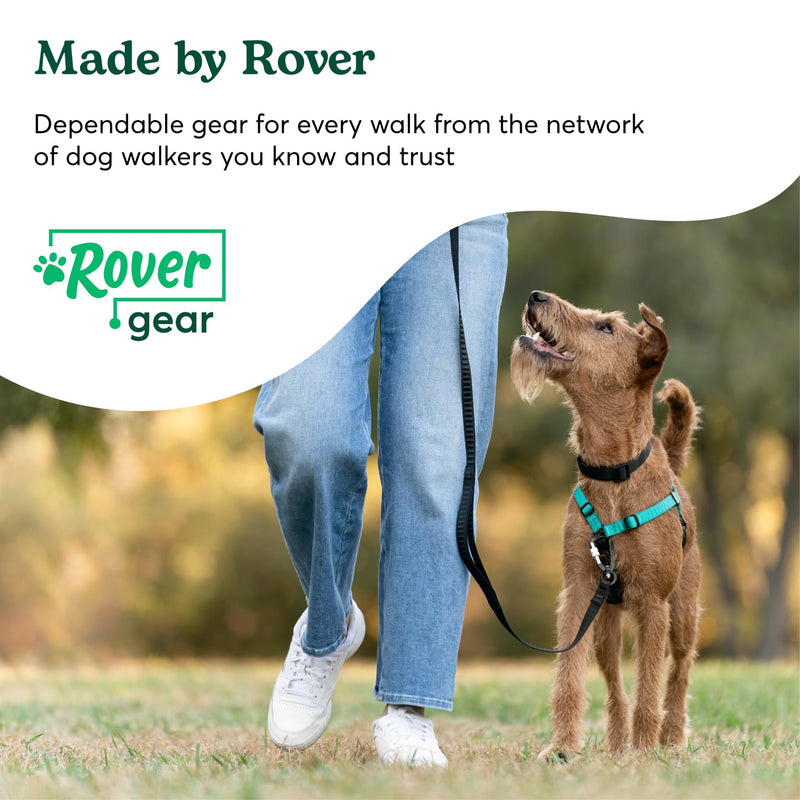 Better Walk No-Pull Dog Harness, Teal, 1” Medium – Stay in Control with Adjustable, Comfortable, Easy to Wear, & Durable Dog Harness – Ideal for Medium Dogs 35-65lb Aqua Teal - PawsPlanet Australia