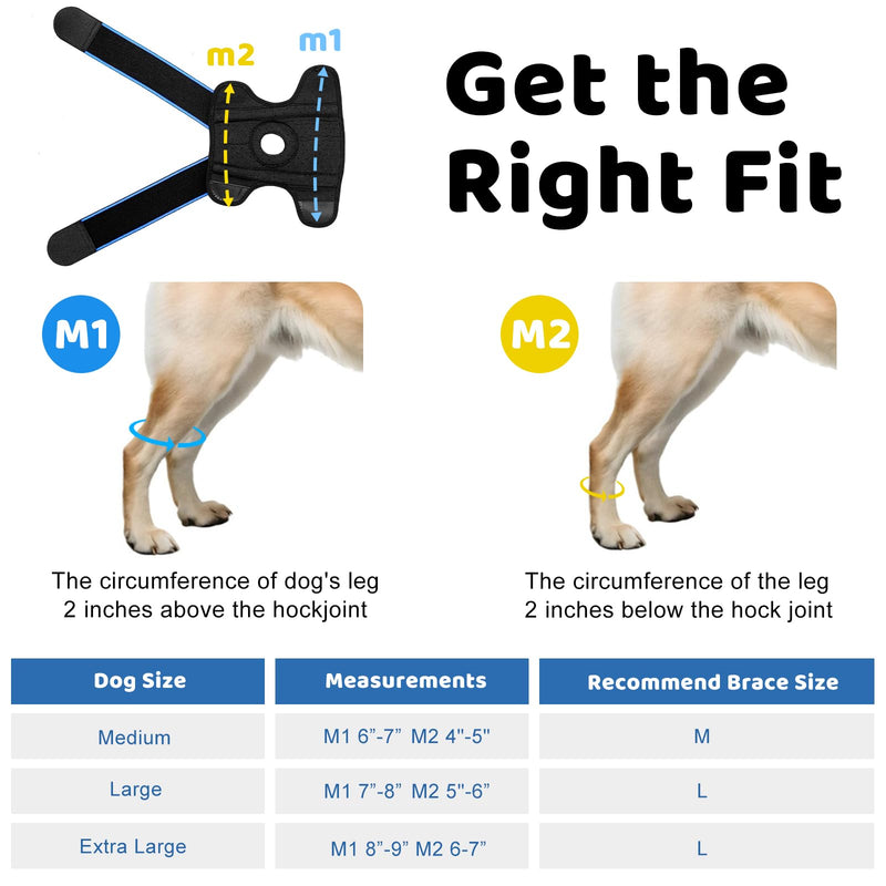 Dog Knee Brace for Back Leg Support, Hock Joint Compression Wrap ACL Brace for Hind Legs – Stabilizing Rear Leg Support for Senior & Overweight Dogs, Ideal for Medium & Large Breeds (M) M