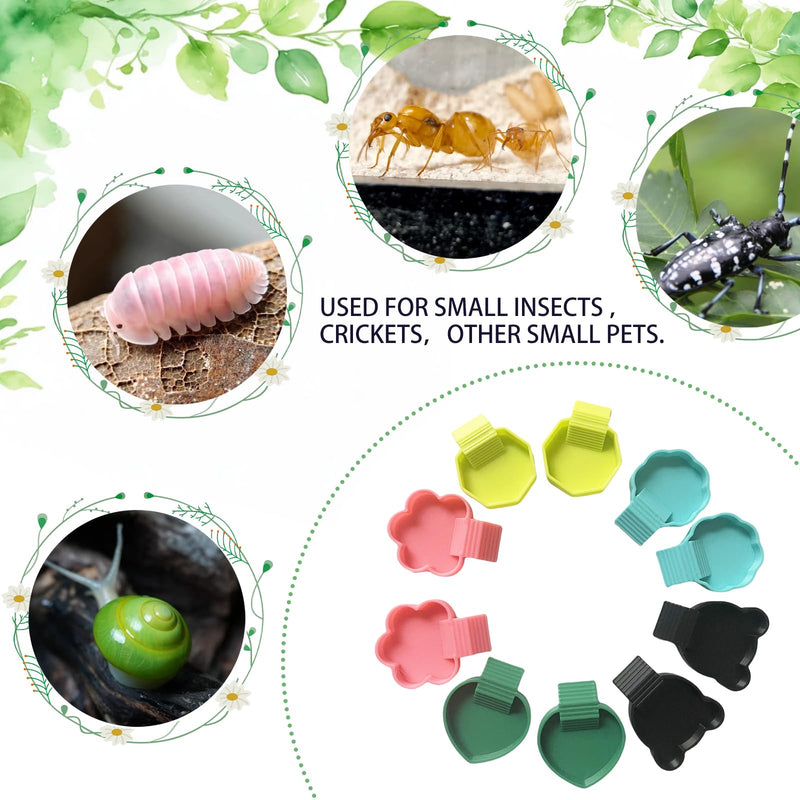 10 PCS Isopod Feeder Dish,Isopods Feeder Bowls,Food Tray for Isopods Springtails Feeding Dish with Ramp - PawsPlanet Australia