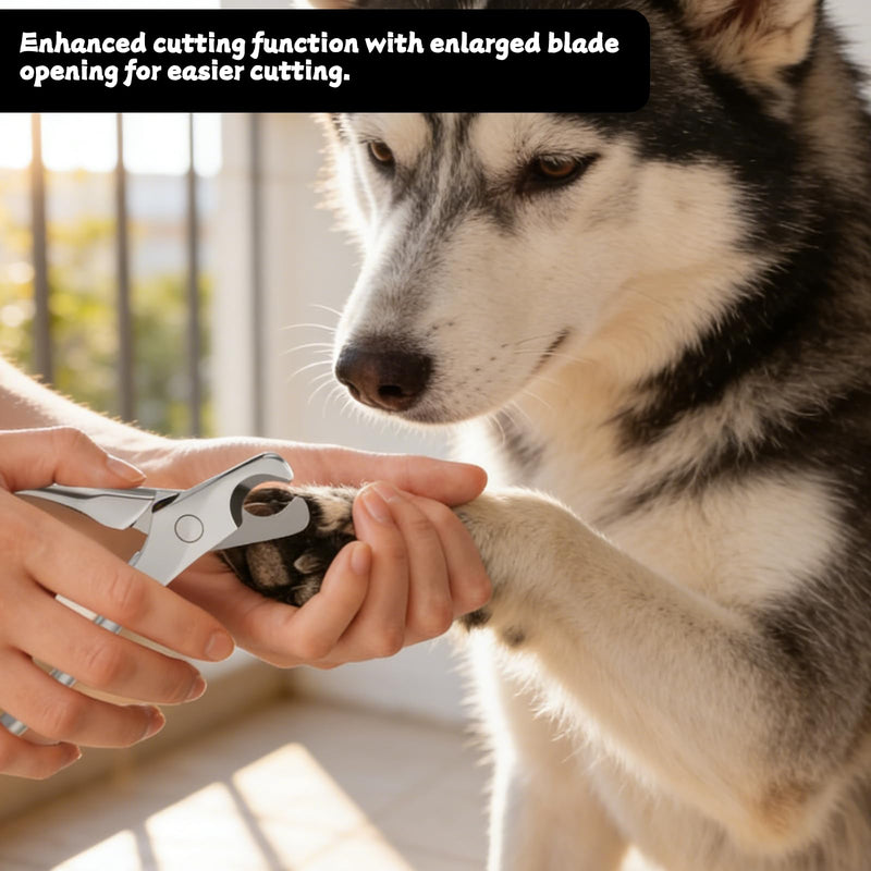 Heavy Duty Dog Nail Clippers Professional Pet Nail Trimmers Heavy Duty Pet Nails Clippers Sharp Safe with Ergonomic Handle for All Large Medium Small Dogs Cats - PawsPlanet Australia