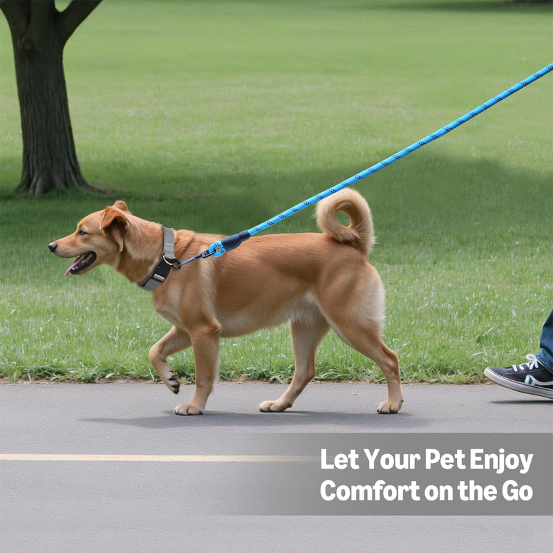 Amazon Basics Round Dog Leash, Heavy Duty, Durable Rope for Small, Medium, and Large Dogs, Lightweight Design for Walking, Training, and Outdoor Activities, Blue, 6 Ft