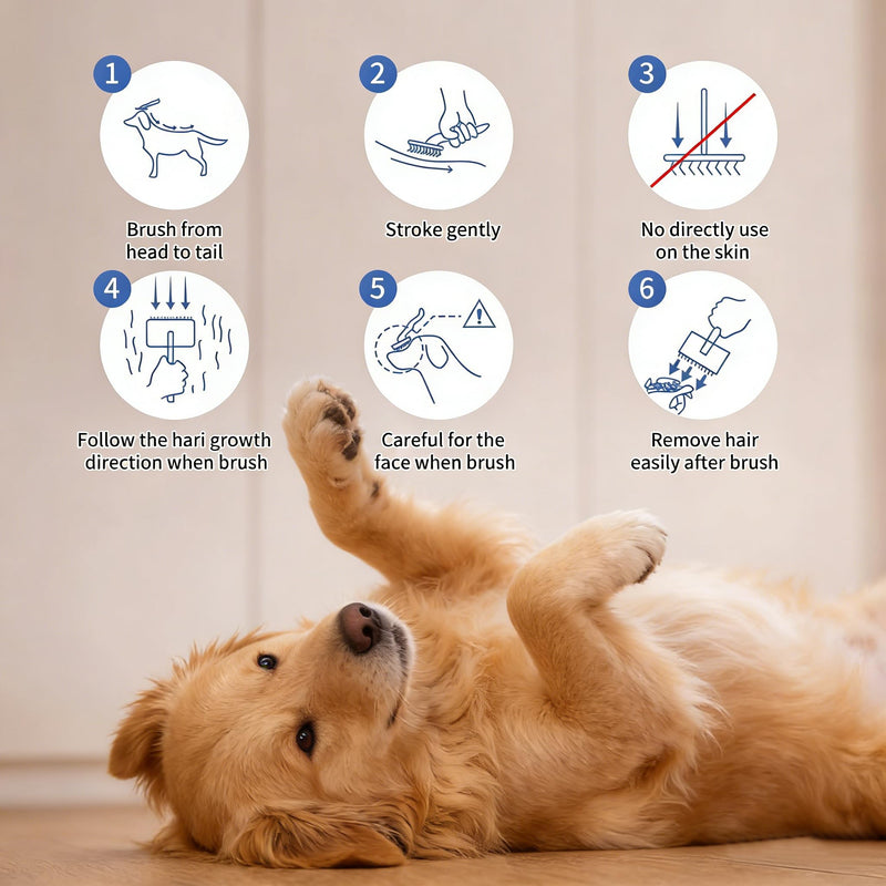 Slicker Brush for Dogs, Large Long Pin Dog Brush for Cockapoo Cavapoo Doodles Poodles Goldendoodle Labradoodle, 2 PCS Large Pet Comb and Grooming Brush, Wood Handle - Blue - PawsPlanet Australia
