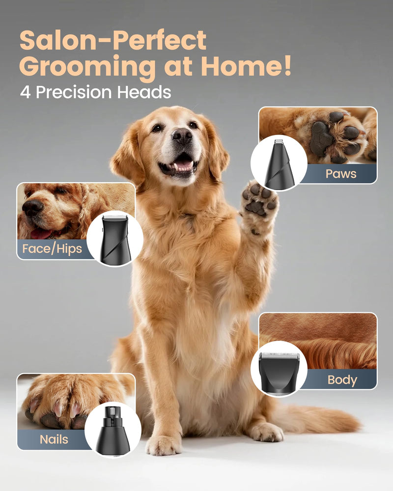4 in 1 Dog Clippers for Grooming Thick Hair, 2000mAh Heavy Duty Dog Grooming Kit, 2-Speed Low Noise Dog Paw Trimmer with Nail Grinder for Body, Paws, Nail, Face, Ears, Legs - PawsPlanet Australia