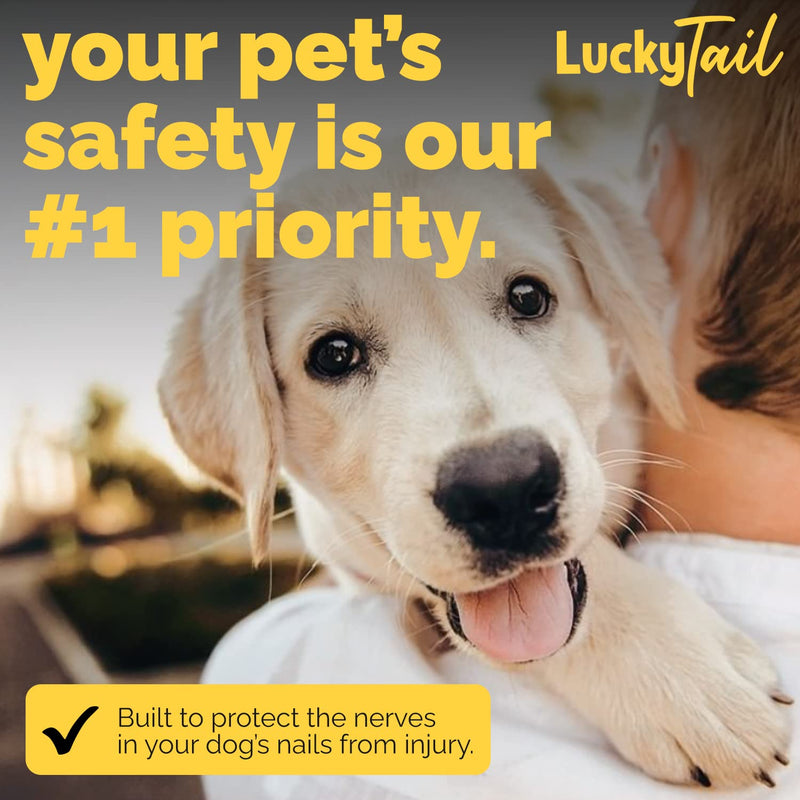 LuckyTail - Dog Nail Grinder - Regular, Hard & Soft Replacement Head - Small & Large Dogs - Premium Quality - Diamond Tip Drill Bit - Professional Dog Nail Trimmers - Grooming Kit - 3 Pack Three Pack - PawsPlanet Australia