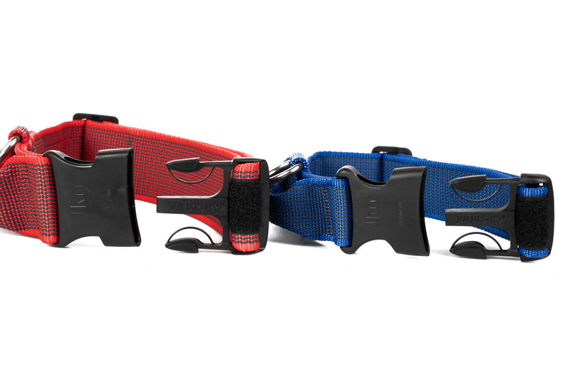 Julius-K9 Color and Gray Collar with Handle and Interchangeable Patch, 50 mm (49-70 cm), Red-Gray - PawsPlanet Australia