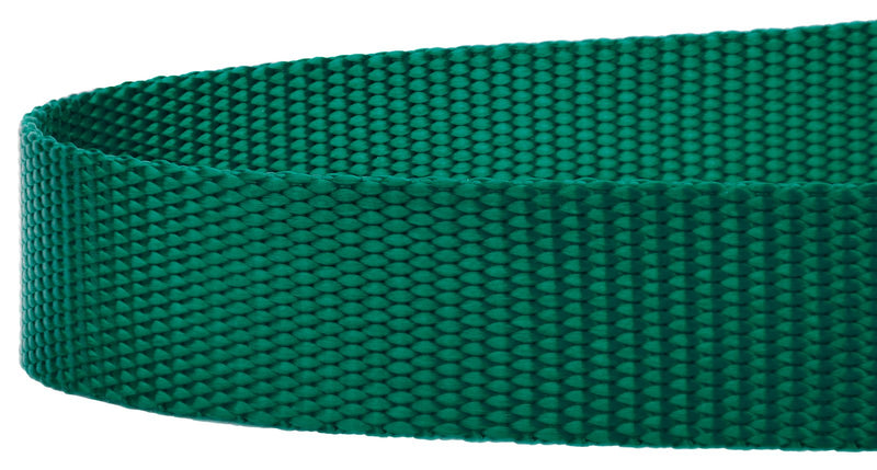 Country Brook Petz 1" Wide Heavy-Duty Nylon Leash for Dogs - Traditional Style Durable Leash with Easy-to-Use Snap - Made in The USA, Green, 6 Foot 6 Foot X 1 Inch Wide (Pack of 1) - PawsPlanet Australia