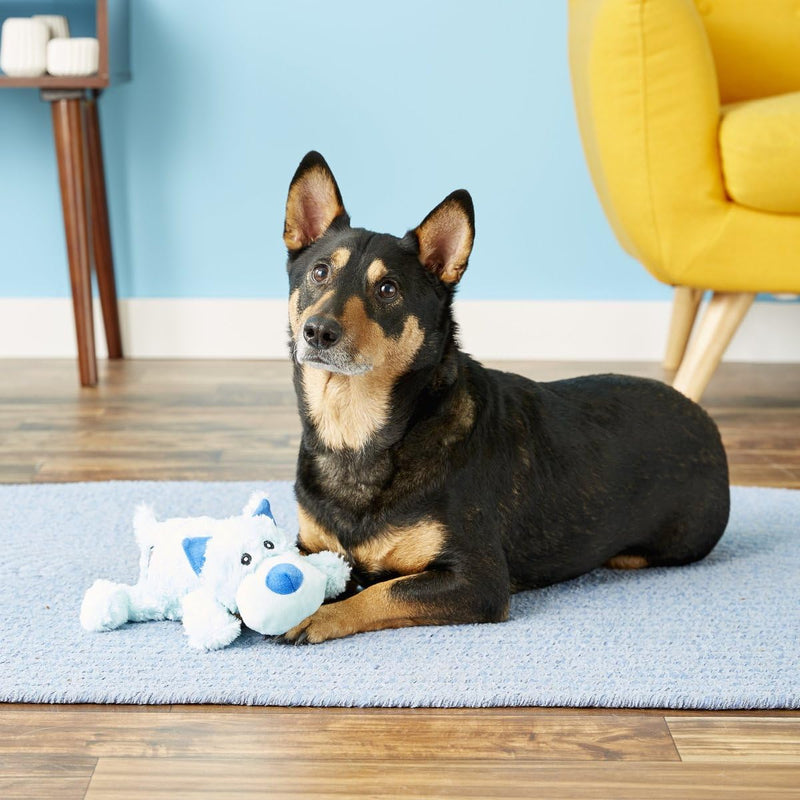 KONG Cozie Marvin The Moose Plush Dog Toy and Medium Cozie Baily The Blue Dog Toy Bundle