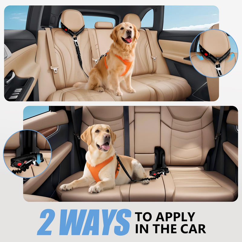 Headrest Dog Car Safety Seat Belt-Easy to Use, Dog Seat Belt with Military-Grade, Seatbelt Adjustable - Car Leash with Elastic Bungee & Reflective Safety Tether(Black) BLACK-Regular - PawsPlanet Australia