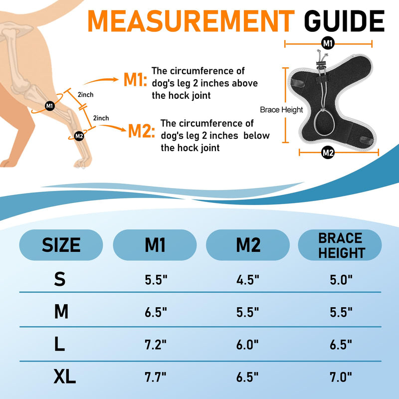 Supet Knuckling Brace for Dogs, Comfortable Foot Splint, Ankle Brace Back Leg for Toe Dragging Cause by Myelopathy, Sciatic Nerve Insufficiency & Herniated Disc, Black S