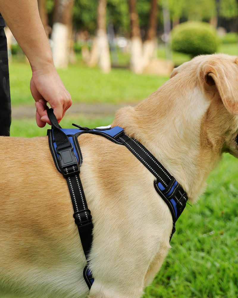 Joytale Dog Harness (Chest: 14-28"), Dog Collar and 6FT x 1" Wide Dog Leash Set, Reflective Padded Nylon Collar and Leash, Adjustable Soft Harness with Handle for Dogs - PawsPlanet Australia