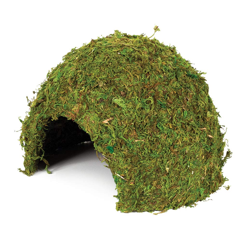Komodo Large Natural Moss Cave for Reptiles - L - PawsPlanet Australia