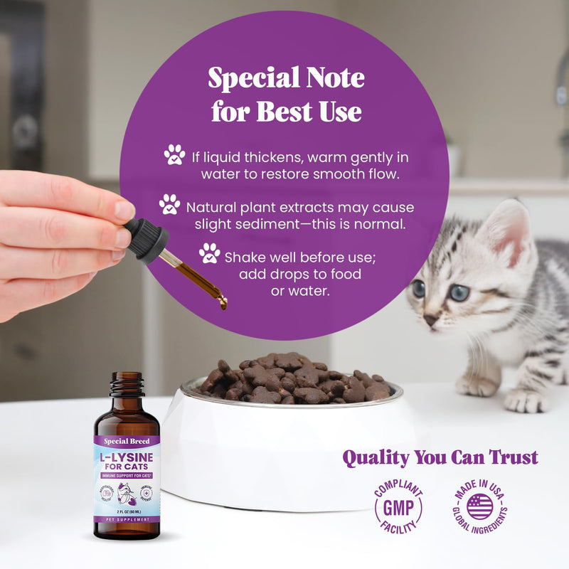 L-Lysine Supplement for Cats & Kittens – Immune Support Liquid for Feline Respiratory Health, Sneezing, Runny Nose & Watery Eyes – 250mg Lysine Cat Drops with Vitamins Complex – Chicken Flavor