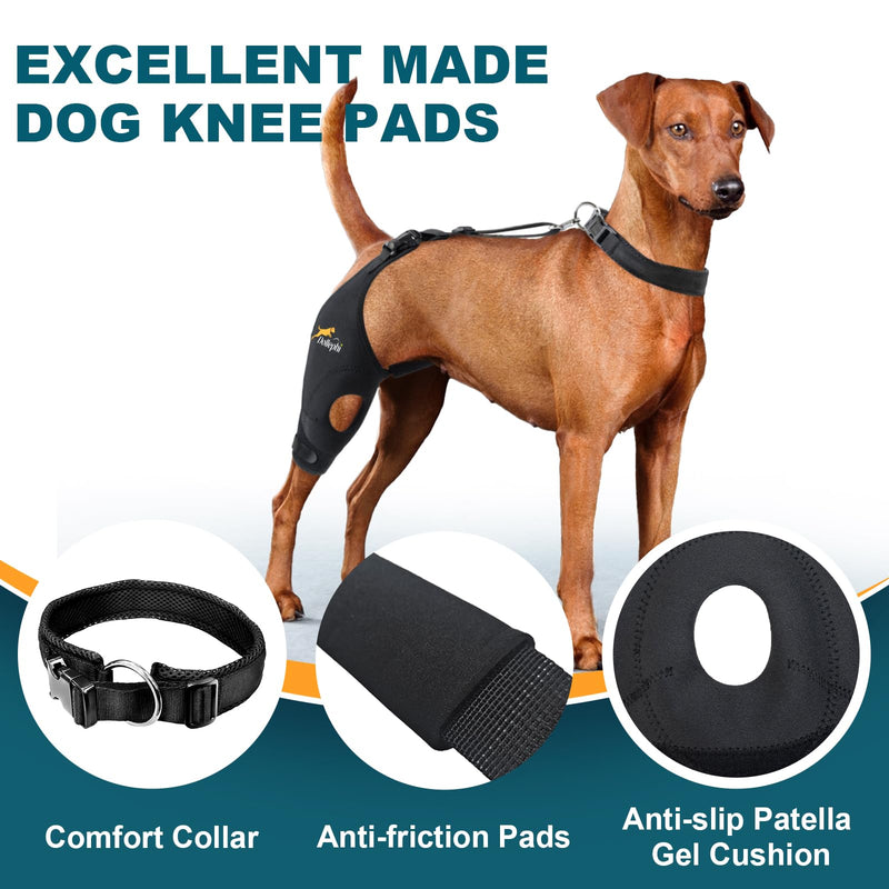 Dog Knee Brace for Torn ACL Hind Leg, Support for Patella Dislocation or Osteoarthritis, Cruciate Ligament Injuries, Cut-out Non-slip Wrap Promotes Patellar Stability,Patent Pending(Right Leg,M) Right Leg(gasket) M