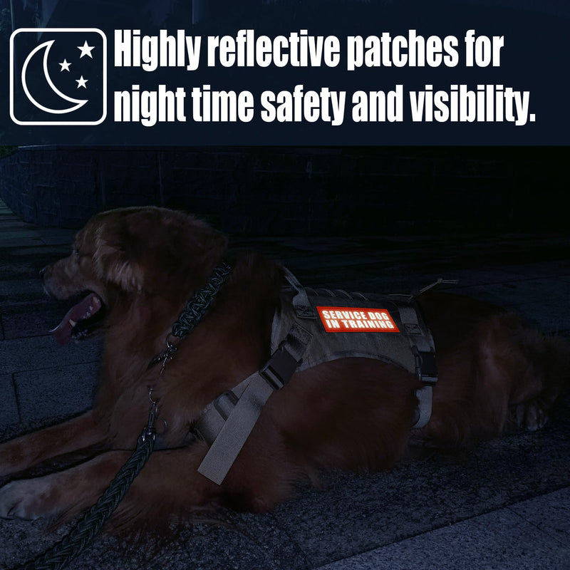 IronSeals Set of 2 Reflective Dog Vest Harness Patches, Removable Do Not Pet Patches with Reflective Printed Letters for Emotional Support Therapy Dog Vest Harness Collar or Leash Do Not Pet (2 Pack Orange) L: 5.9"x2"/15cmx5cm - PawsPlanet Australia