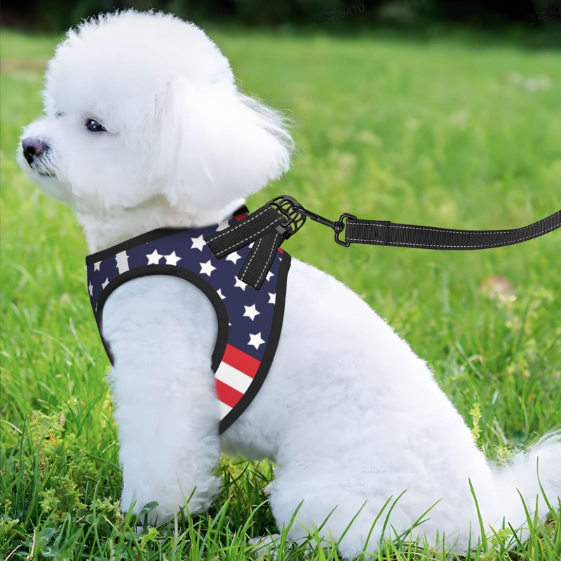 American Star Flag No Pull Dog Harness and Leash Set, Reflective Vest for Small Dogs, Adjustable Breathable Cute Classic Mesh Puppy Harness for Walking Hiking,Small American Star Flag - PawsPlanet Australia