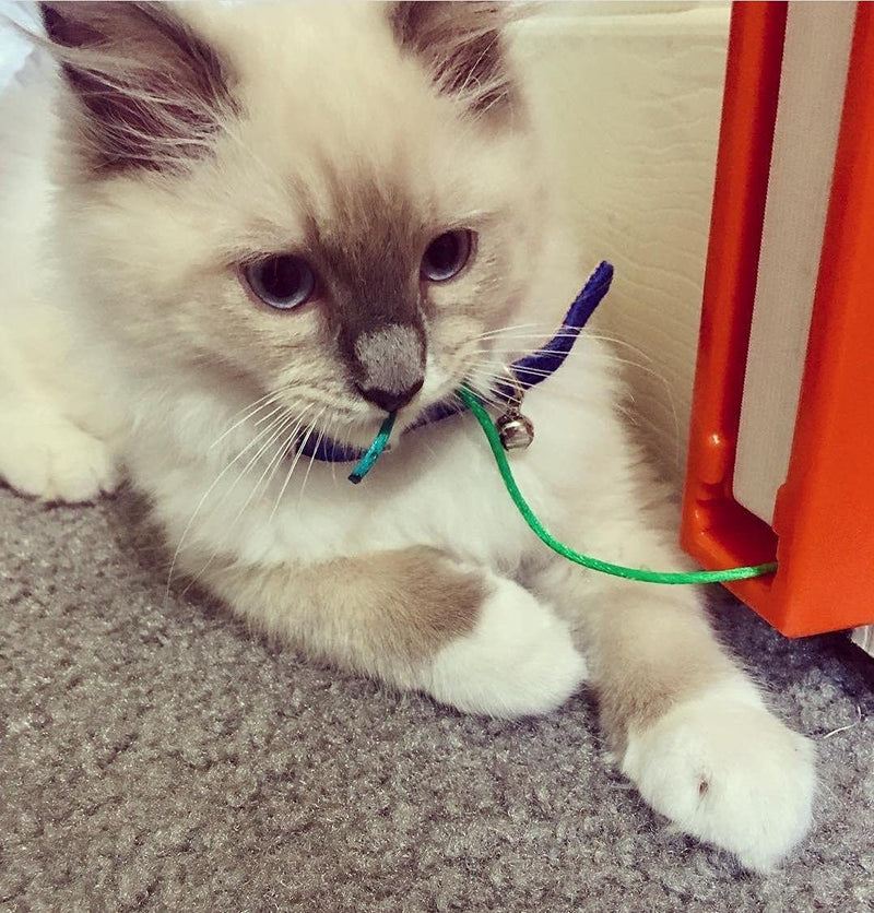 Fling-AMA-String Cat Toy - PawsPlanet Australia
