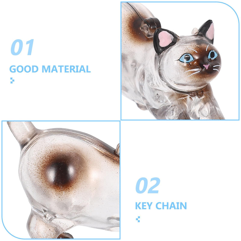 BESTYASH Plastic Keyring with Pet Hair Organizer and Transparent Storage Box, Pet Hair Capsule for Cat Lovers and Everyday Use