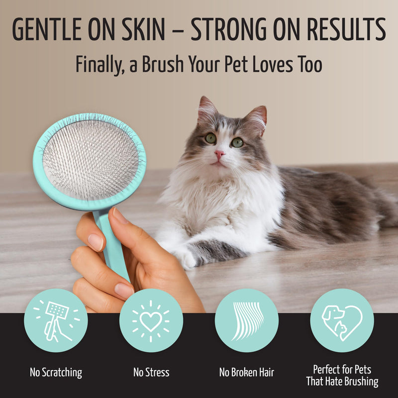 Tauro Pro Line Slicker Brush for Dogs & Cats, Deshedding, Dematting & Detangling Grooming Tool for Medium to Long Coats, Ideal for Cocker Spaniels, Round Flexible Cushion, Mint, Medium Size (M) Round - M