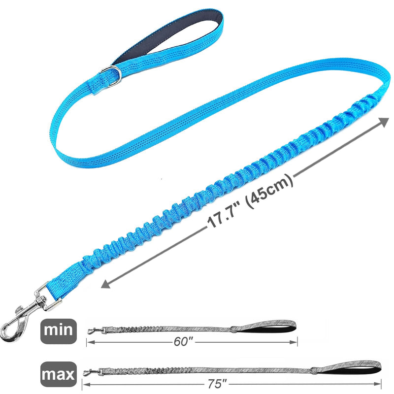 Bungee Dog Leash- 5FT Shock Absorbing & Reflective Nylon Leash | Anti-Pull Training for Small/Medium Dogs | 2cm Wide, 6 Colors (Teal) Teal - PawsPlanet Australia