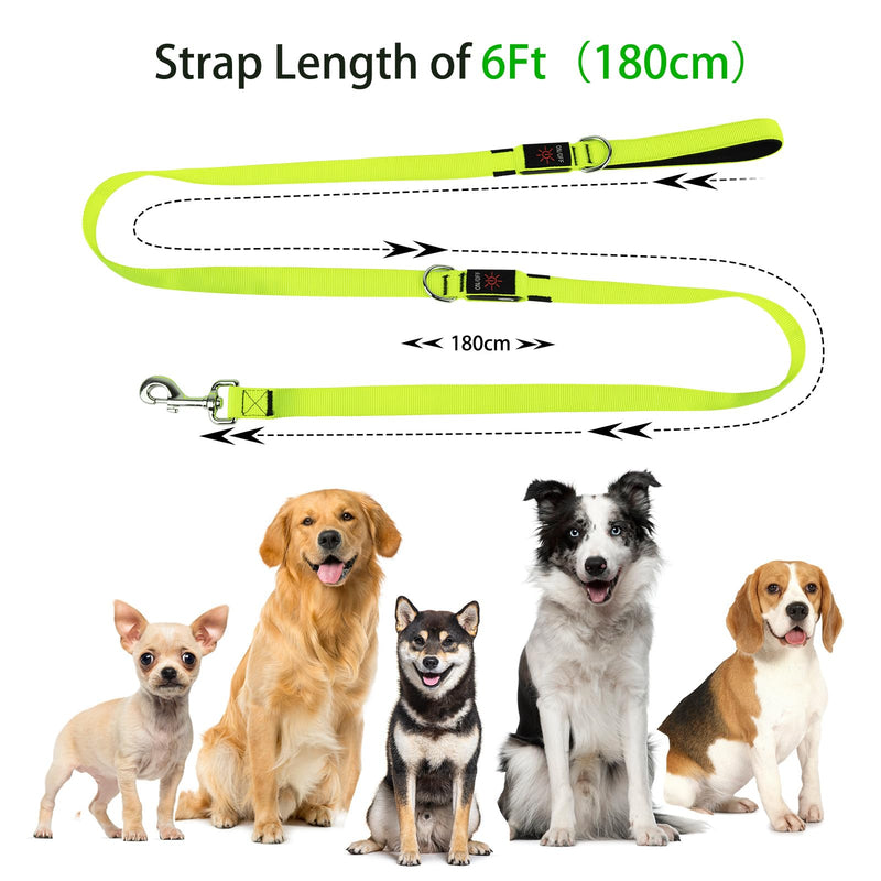 Light Up Dog Leash, 6 Ft LED Leashes Rechargeable, Nylon Reflective Lead with Padded Handle for Night Walking, Safety Glow Lights for Large Medium Small Dogs(Green, 6 Ft) Green - PawsPlanet Australia