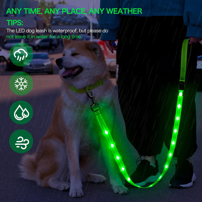 Weesiber Glowing Light Up LED Dog Leash - 4ft USB Rechargeable Flashing Nylon Leash for Small Medium Large Dogs, 3 Flash Modes (Green) Green