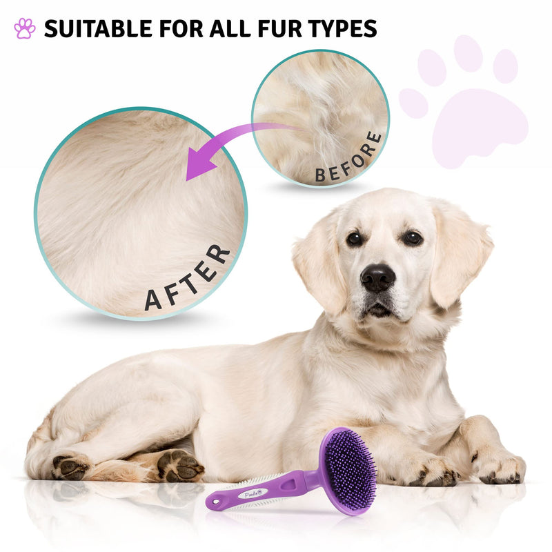 Poodle Pet Bundle - Round Bristle Pet Brush for Dogs and Cats + Dematting Fur Rake Comb Brush for Dogs and Cats for Detangling Matted or Knotted Undercoat Hair - PawsPlanet Australia