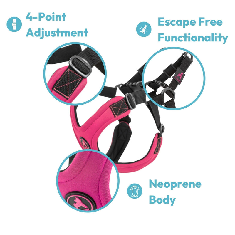 Gooby Escape Free Sport Harness - No Choke Step-in Patented Neoprene Small Dog Harness with Four-Point Adjustment - On The Go Dog Harness for Medium Dogs No Pull and Small Dogs for Everyday Use Small chest (12.5-18.75") Turquoise - PawsPlanet Australia