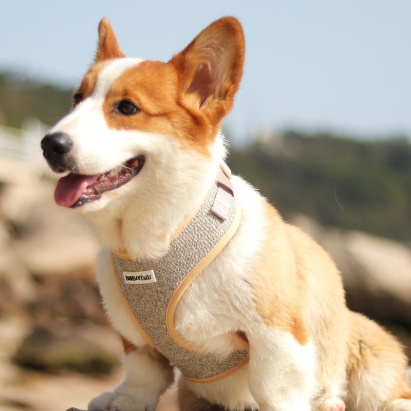 No Pull Dog Harness with Leash Clip,Adjustable Soft Padded and Cotton Fabric Pet Vest for Large,Medium and Small Dogs (Taupe, Small) TAUPE - PawsPlanet Australia