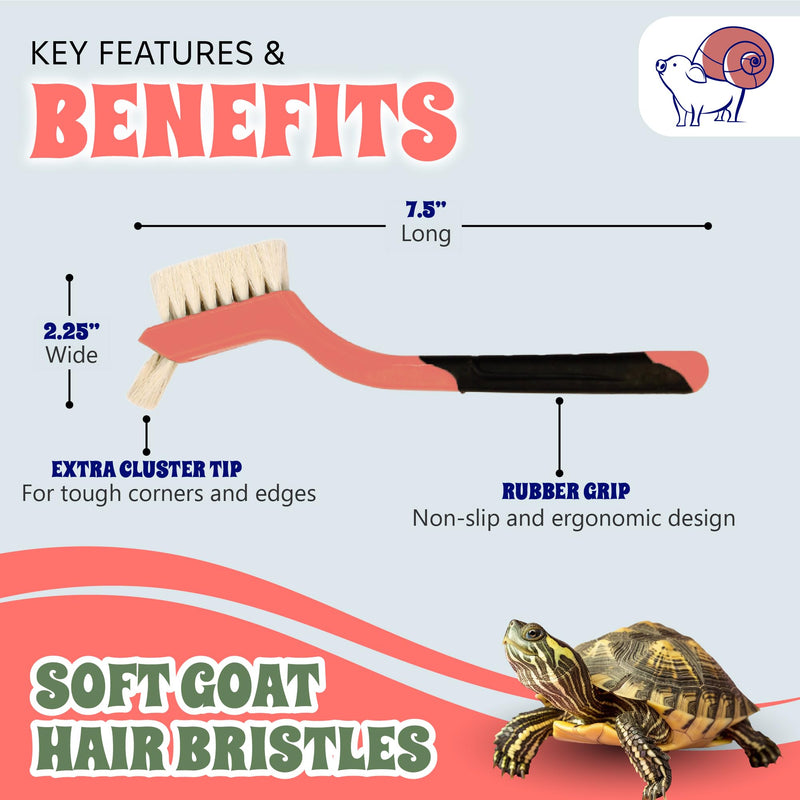 Turtle Cleaning Brush - Gently Remove Dirt from Turtles and Tortoises - Blue by Snout and Shell - PawsPlanet Australia